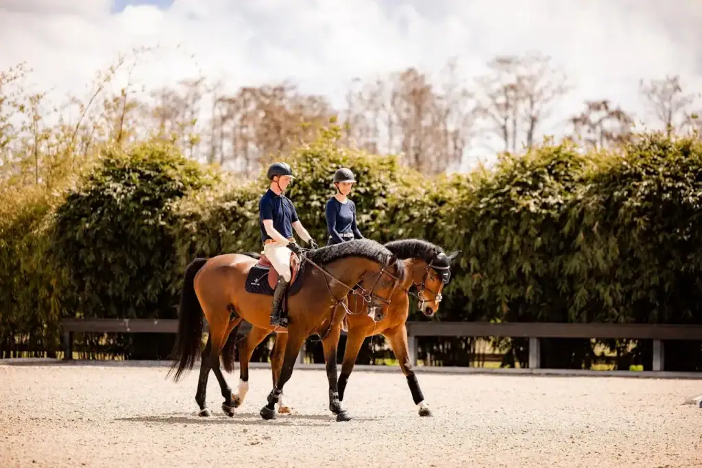 Equestrian Arena Surfaces: The Gulliksen Family Prepare for Aachen with Noviun