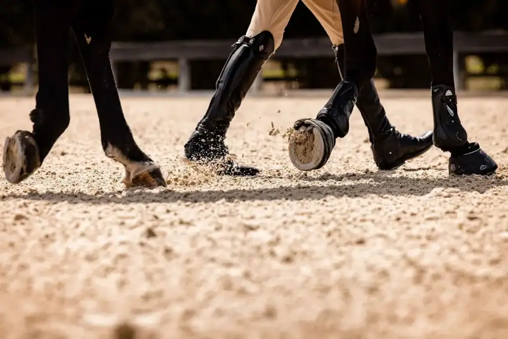 Equestrian Arena Surfaces: The Gulliksen Family Prepare for Aachen with Noviun